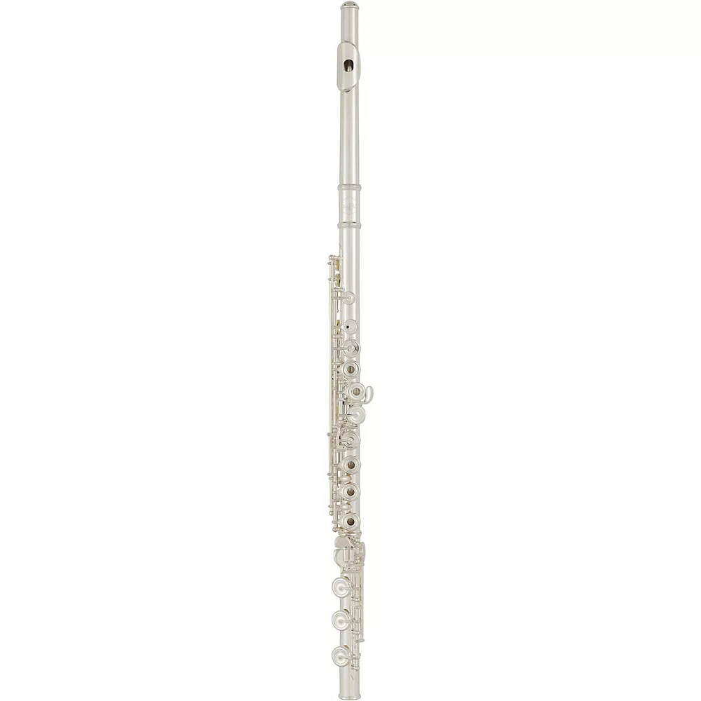 Allora Vienna Series Intermediate Flute Offset G B-Foot