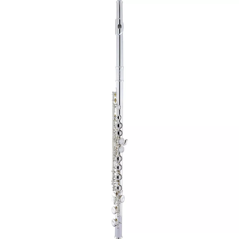 Armstrong AFL201 Closed-Hole Student Flute Offset G C-Foot