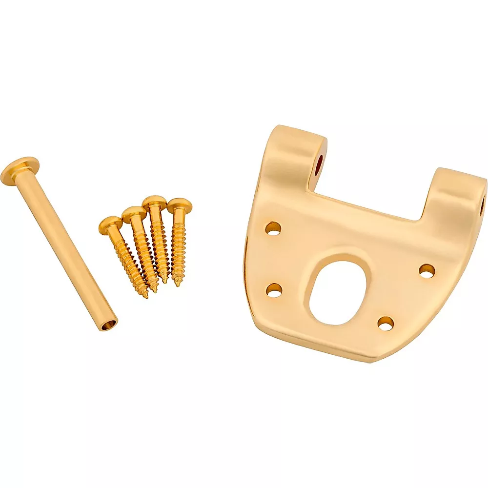 Bigsby Extra Short Hinge with Pin and Screws Gold