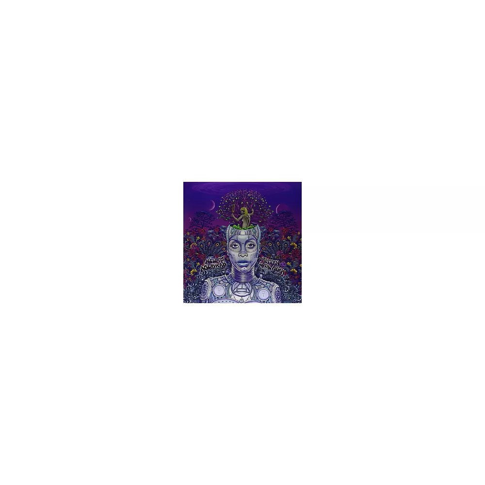 Erykah Badu - New Amerykah Part Two: Return of the Ankh