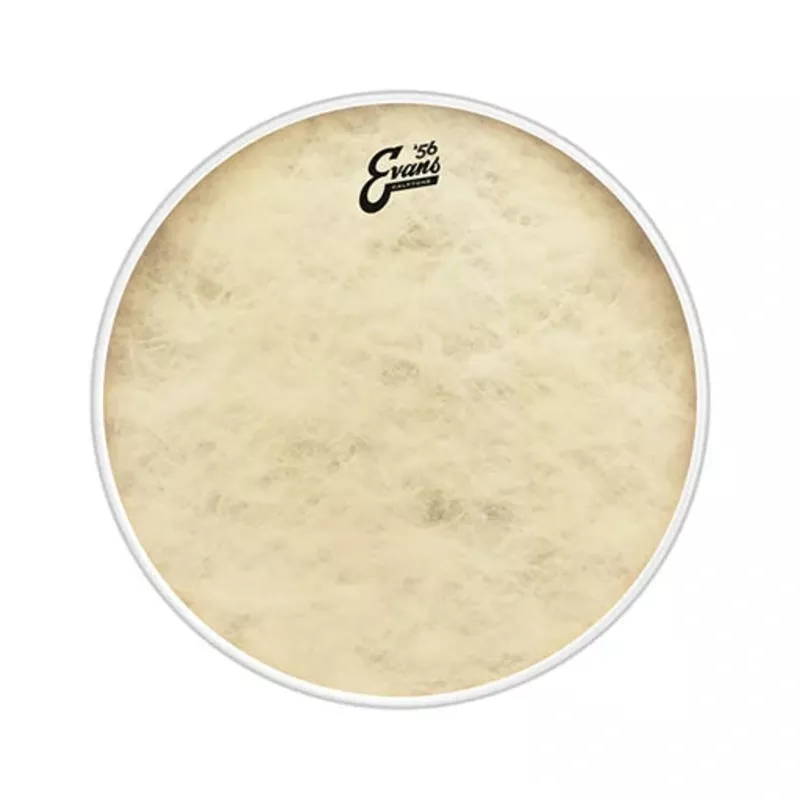 Evans BD16CT 16inch Calftone – Bass