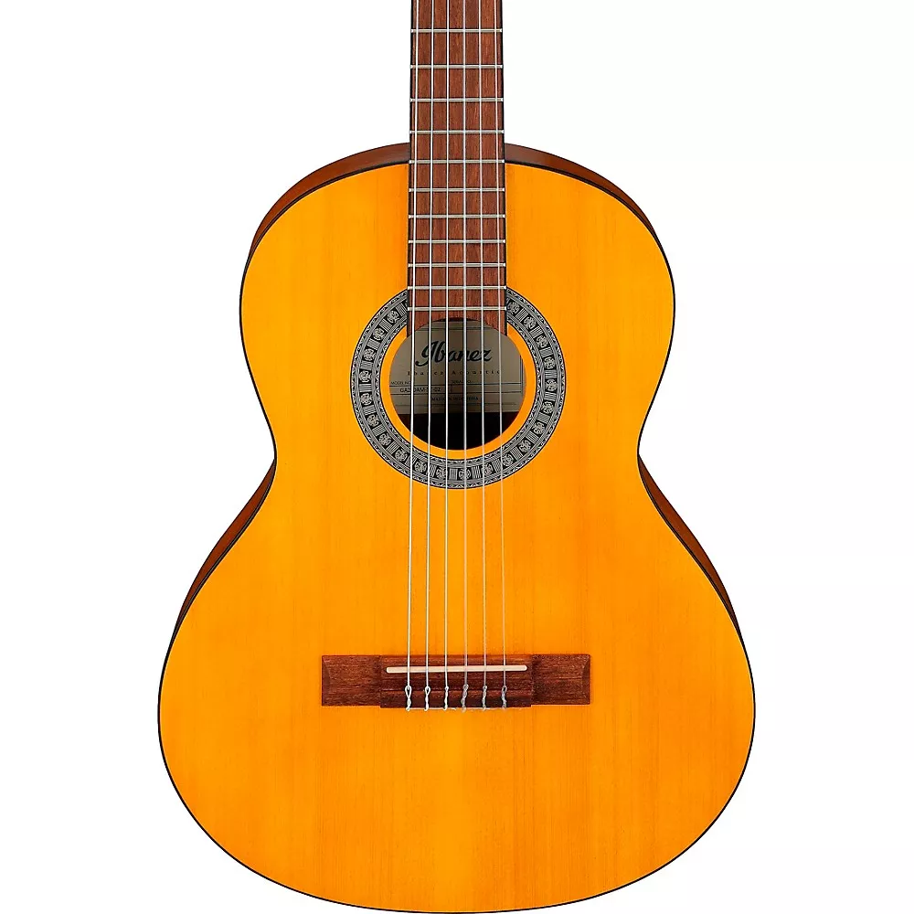 Ibanez GA2OAM 3/4 Size Classical Acoustic Guitar Amber