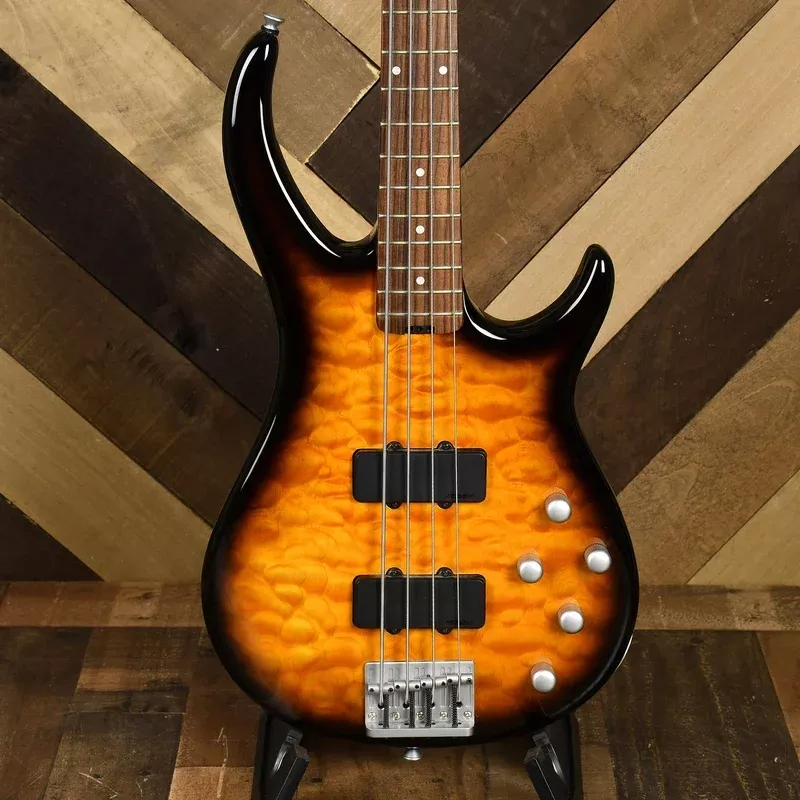 Peavey Fury IV Bass With OHSC – Used