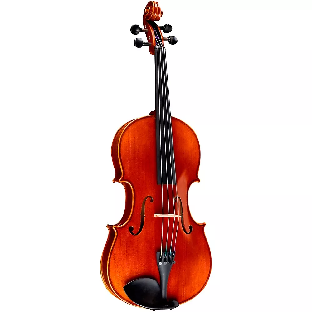 Ren Wei Shi Academy II Series Violin Outfit 1/8