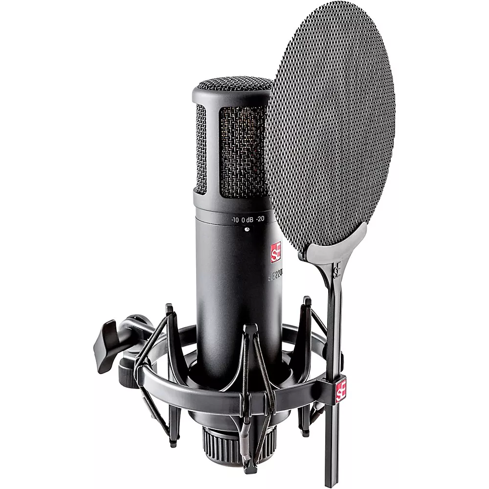 sE Electronics sE2200 Large-Diaphragm Condenser Microphone