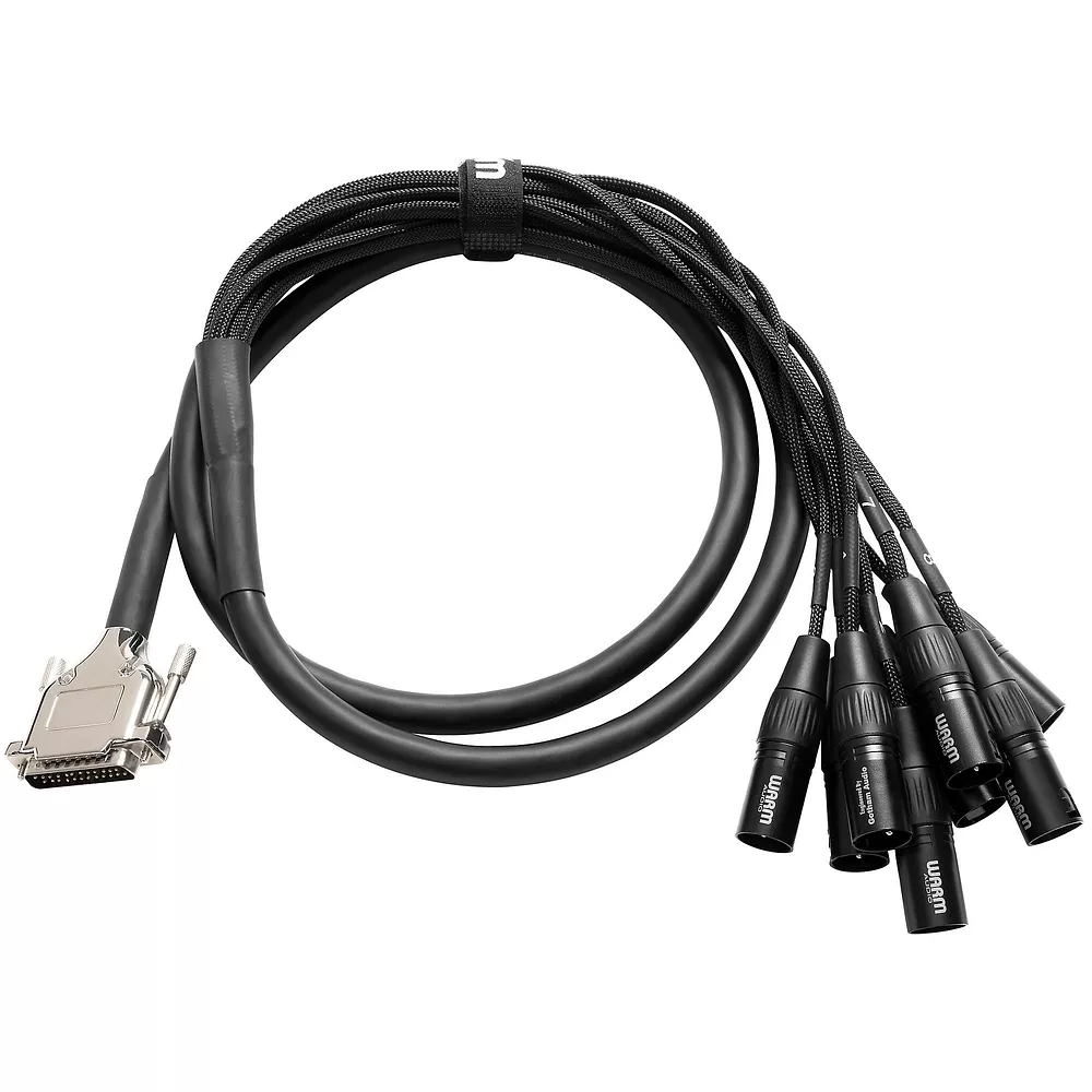Warm Audio Premier DB25-XLRm Snake Cable - 6 ft. Black